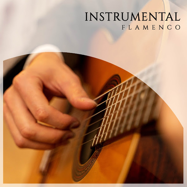 Instrumental Flamenco Ambient Moods