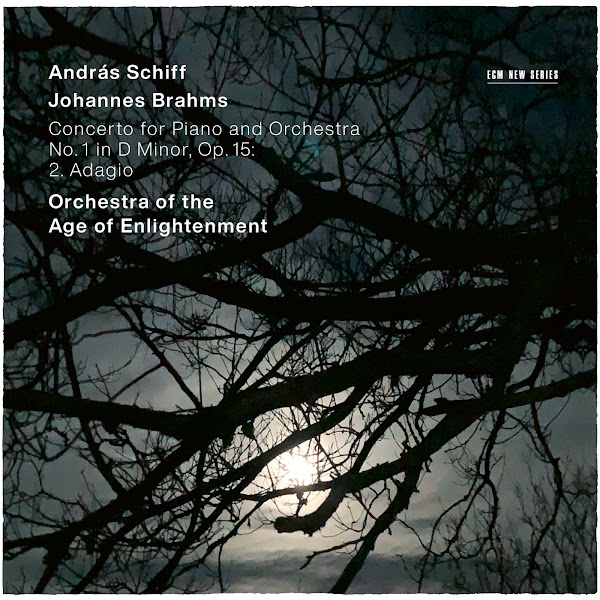 Brahms: Piano Concerto No. 1 in D Minor, Op. 15: 2. Adagio