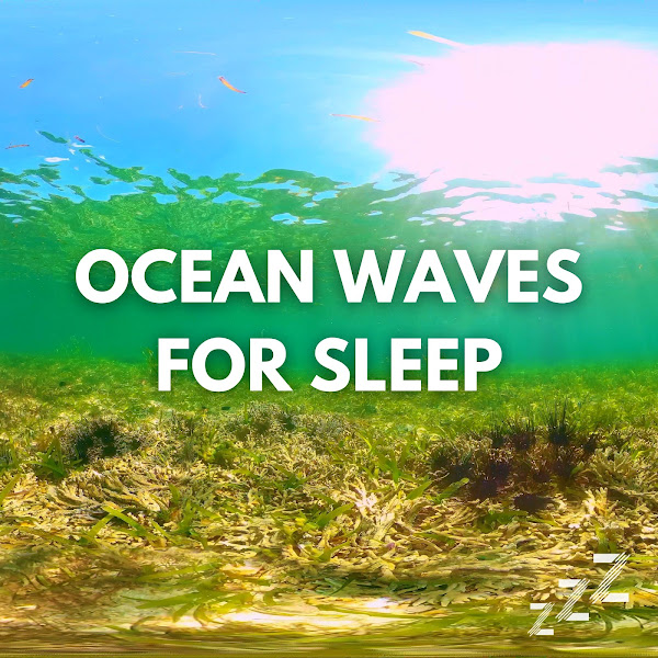 Endless Loop of Relaxing Ocean Waves For Sleep (No Fade, No Music, Just Waves)