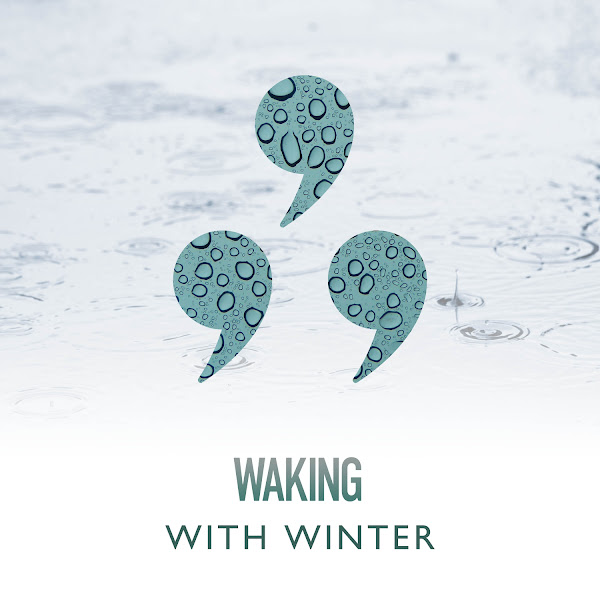 Waking With Winter Rain